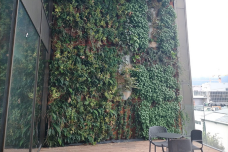 GIARDINI VERTICALI