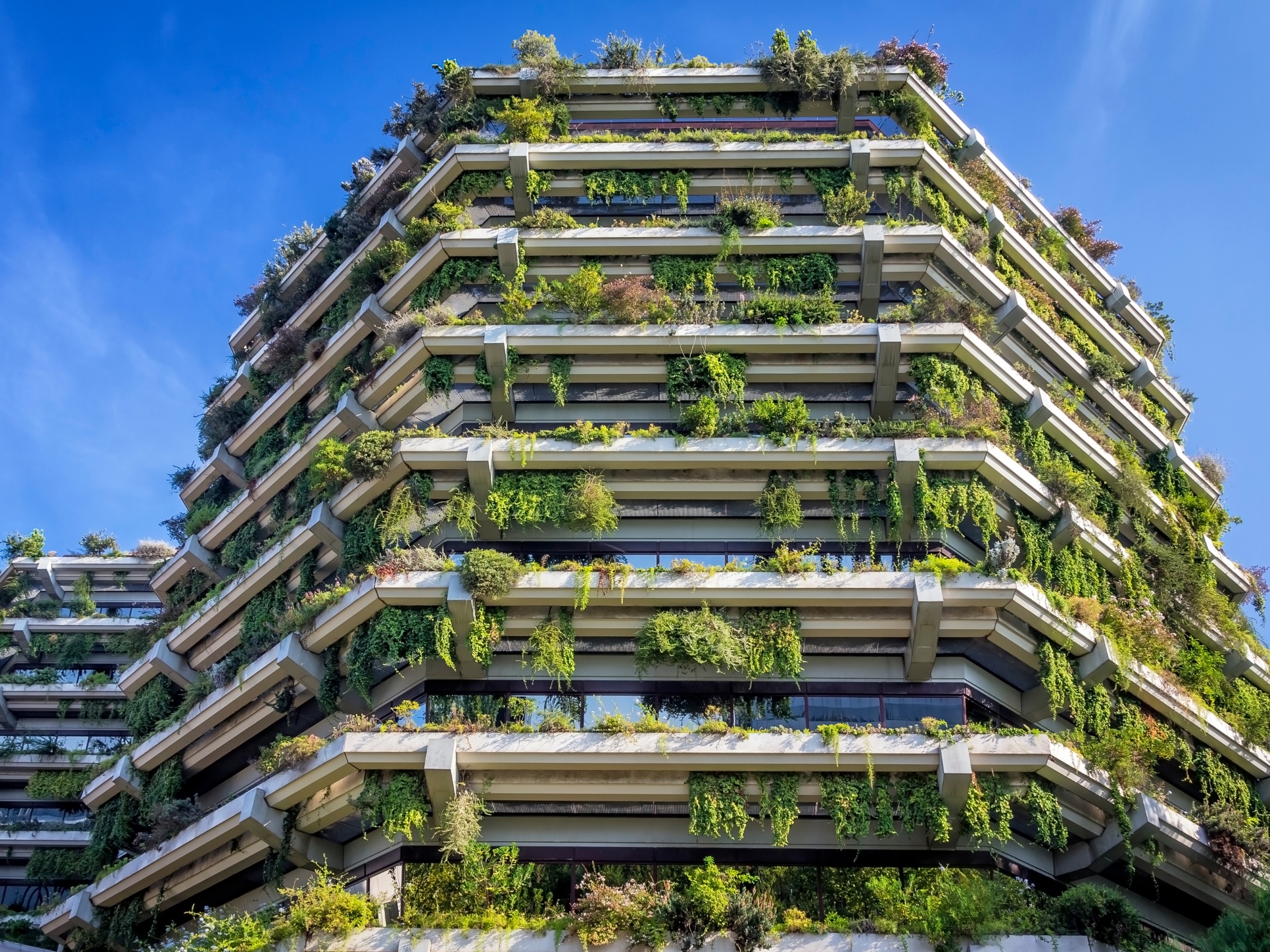Verde parietale e verde pensile soluzioni tecnologiche per la rigenerazione urbana sostenibile