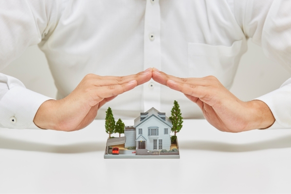 Il Salvacasa - Aggiornamenti