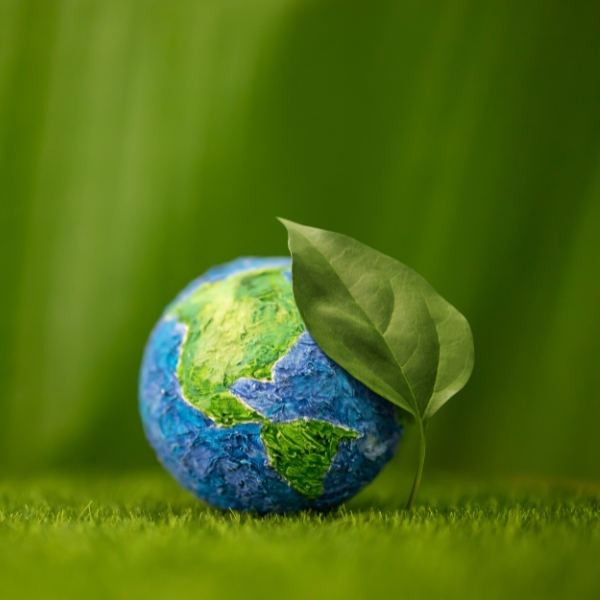 Ambiente e sostenibilità