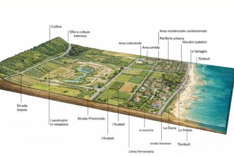 INVESTIGAZIONE, RICERCA E ANALISI DELL'AREA DI PROGETTO