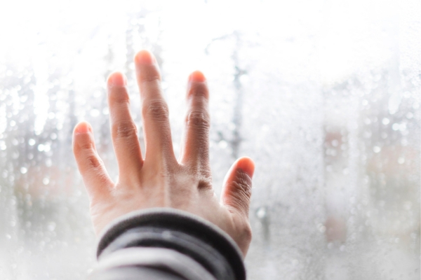 Muffa e condensa negli edifici come il progettista può prevenirle davvero