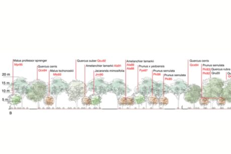 Progettazione e rigenerazione urbana, analisi casi di lavoro