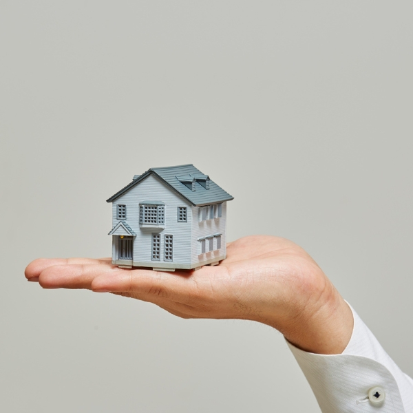 Salvacasa aggiornamenti