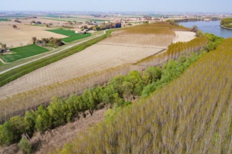 La conservazione dinamica e partecipata del paesaggio e del patrimonio rurale