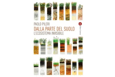 Urbanistica e ripristino degli ecosistemi urbani